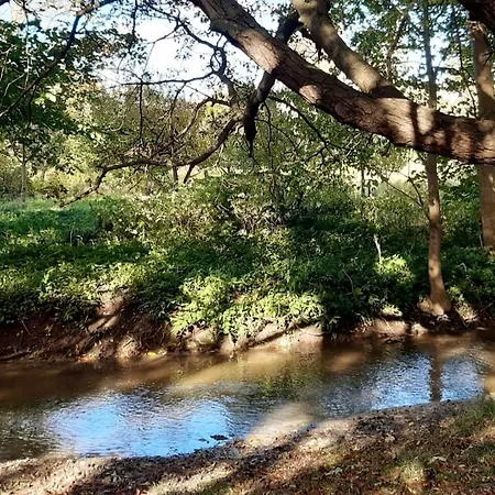 Ruhige Mit Privatparkplatz Appartement Sagard